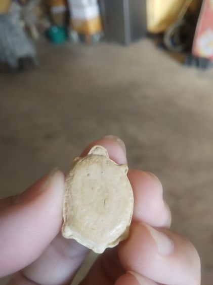 พระเนื้อผงผสมว่านพิมพ์เล็ก(พระรูปเหมือนพระพญาเต่าเรือน(ไม่ทราบเกจิที่สร้าง)(ไม่ทราบอายุและรุ่น)(มงคลเมตตาค้าขาย))พระบ้านพระเครื่องรางของมงคล รูปที่ 3