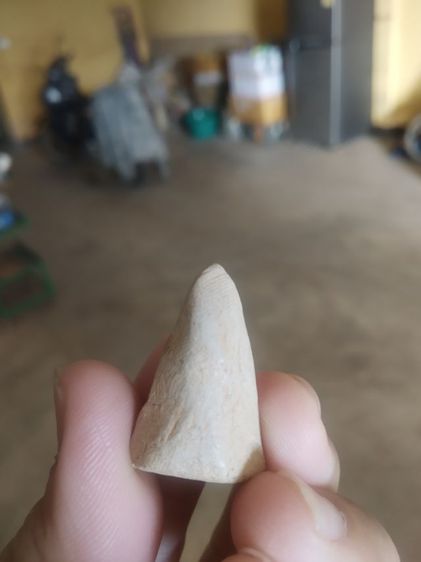 พระเนื้อผงผสมดินและว่าน(พระเครื่องพิมพ์พระพุทธเนื้อสีขาวไม่ทราบเกจิที่สร้าง)พระบ้านพระเครื่องรางของมงคล รูปที่ 5