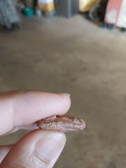 พระเนื้อดินผสมผง(พระพิมพ์พระพุทธนั่งบนฐานบัว(เนื้อออกน้ำตาลแดง)(ไม่ทราบพระเกจิที่สร้าง)(280224))พระบ้านพระเครื่องรางของมงคล รูปที่ 13