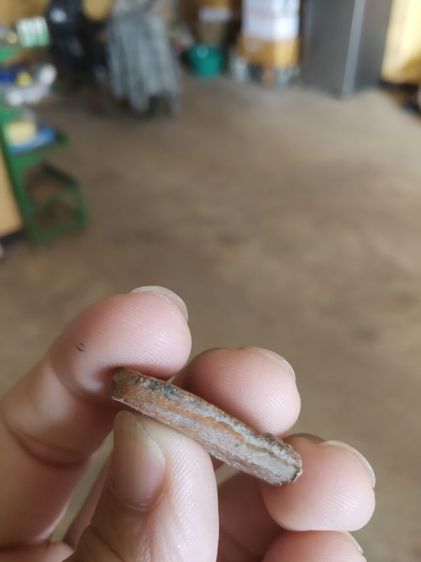 พระเนื้อดิน(พระซุ้มกอหลังเรียบสีน้ำตาลเข้ม(สภาพไม่ค่อยสวย)(ไม่ทราบพระเกจิที่สร้าง)(ไม่ทราบรุ่นและอายุ)(290238))พระบ้านพักเครื่องรางของมงคล รูปที่ 16