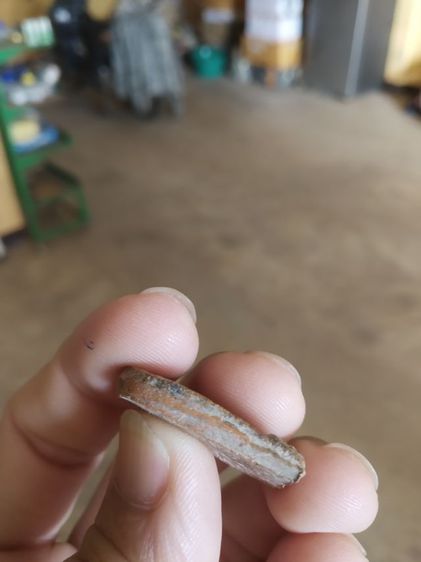 พระเนื้อดิน(พระซุ้มกอหลังเรียบสีน้ำตาลเข้ม(สภาพไม่ค่อยสวย)(ไม่ทราบพระเกจิที่สร้าง)(ไม่ทราบรุ่นและอายุ)(290238))พระบ้านพักเครื่องรางของมงคล รูปที่ 17