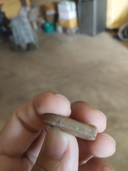 พระเนื้อดิน(พระพิมพ์พระซุ้มกอเนื้อดินหลังเรียบเนื้อสีน้ำตาล(ไม่ทราบพระเกจิที่สร้าง)(ไม่ทราบรุ่นและอายุ)(290241))พระบ้านพระเครื่องรางของมงคล รูปที่ 16