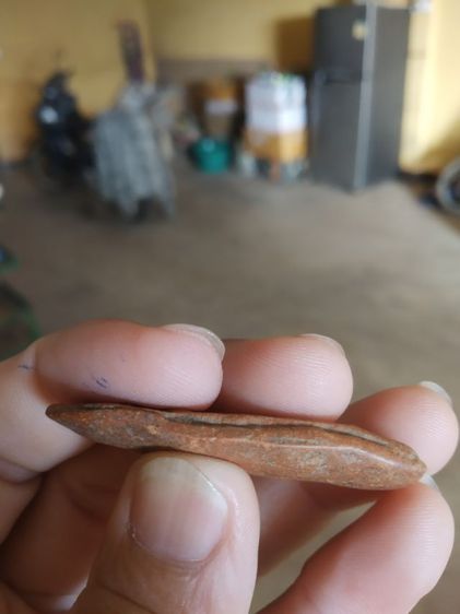 พระเนื้อดิน(พระปางลีลากำแพงเม็ดขนุนหรือพระปางลีลากำแพงเขย่ง(ไม่ทราบพระเกจิที่สร้าง)(290273))พระบ้านพระเครื่องรางของมงคล รูปที่ 12