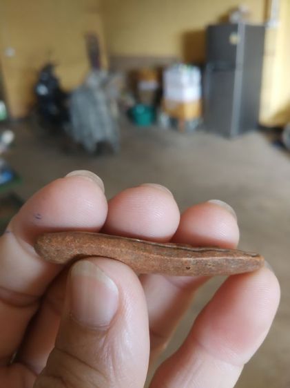 พระเนื้อดิน(พระปางลีลากำแพงเม็ดขนุนหรือพระปางลีลากำแพงเขย่ง(ไม่ทราบพระเกจิที่สร้าง)(290273))พระบ้านพระเครื่องรางของมงคล รูปที่ 13