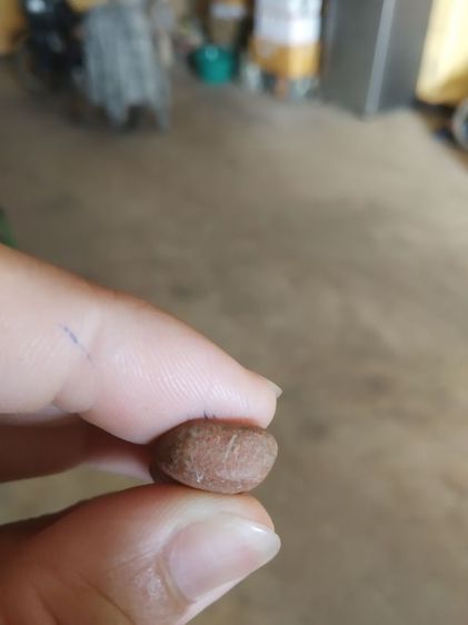 พระเนื้อดิน(พระปางลีลากำแพงทุ่งเศรษฐีหรือพระปางลีลากำแพงเขย่ง(ไม่ทราบเกจิที่สร้าง290274))พระบ้านพระเครื่องรางของมงคล รูปที่ 16