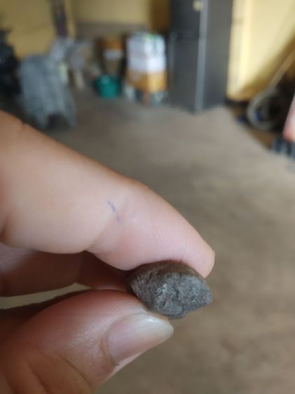 พระเนื้อดิน(พระปางลีลากำแพงเขย่งหรือพระลีลากำแพงทุ่งเศรษฐี(ไม่ทราบเกจิที่สร้าง290275))พระบ้านพระเครื่องรางของมงคล รูปที่ 18