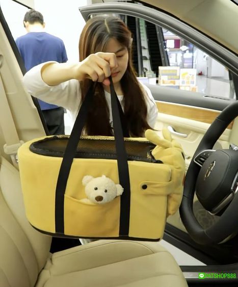 Car Seat หมา แมว 5แบบน่ารัก รูปที่ 10