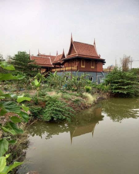 ขายบ้านสวน ทรงไทย1หลัง บ้่านชั้นเดียว 2หลัง รูปที่ 3