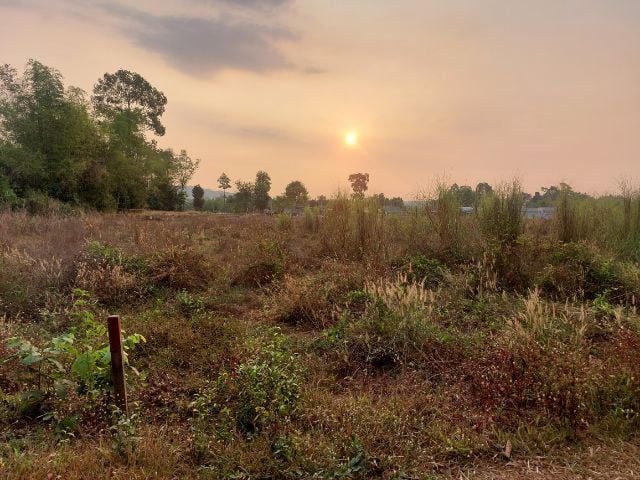 ขายที่ดินปลูกบ้าน เนินหอม ปราจีน รูปที่ 3