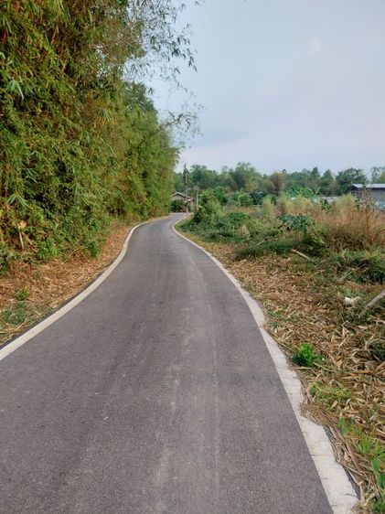 ขายที่ดินปลูกบ้าน เนินหอม ปราจีน รูปที่ 2