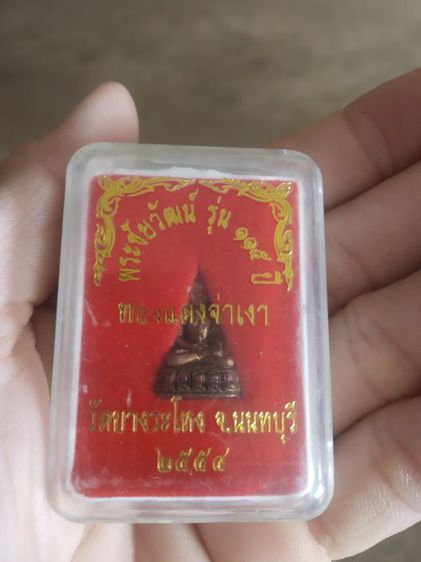 พระเนื้อทองแดงพิมพ์เล็ก(พระรูปหล่อพระชัยวัฒน์วัดบางระโหง(รุ่น115ปี)(ทองแดงจ่าเงา)(จันทบุรีปี2554))พระบ้านพระเครื่องรางของมงคล รูปที่ 14