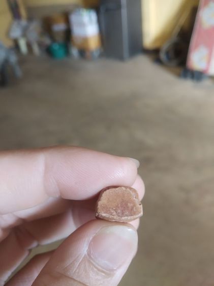 พระเนื้อดินเผาพิมพ์เล็ก(พระรอดหลังยันต์(นะชาลีติ)(ไม่ทราบพระเกจิที่สร้าง)(เนื้อออกสีแดงส้ม))พระใหม่พระบ้านพระเครื่องรางของมงคล รูปที่ 12