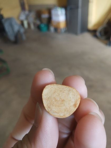 พระเนื้อว่านผสมผงพุทธคุณ(พระหลวงปู่ทวดลอยองค์(พระหลวงพ่อไฉน)(ฉันทสาโร)(วัดป่าคุณากร)(โพธิ์นิมิตร)(ขอนแก่นปี2555))พระบ้านพระเครื่องรางของมงคล รูปที่ 16