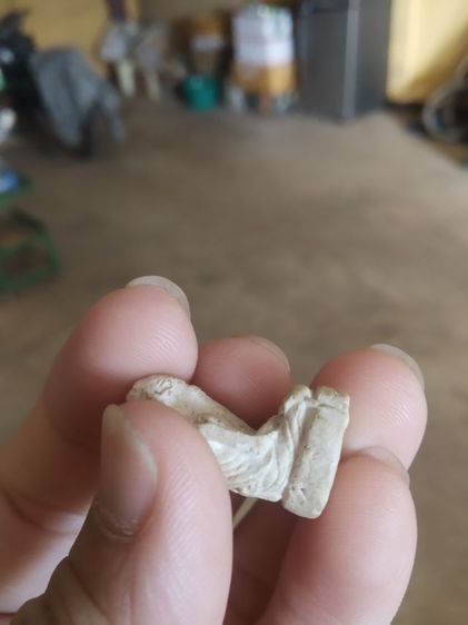 พระเนื้อผงผสมว่าน(พระปู่ฤาษีวาสุเทพรูปลอยองค์ไม่ทราบเกจิที่สร้าง)พระบ้านพระเครื่องรางของมงคล รูปที่ 13