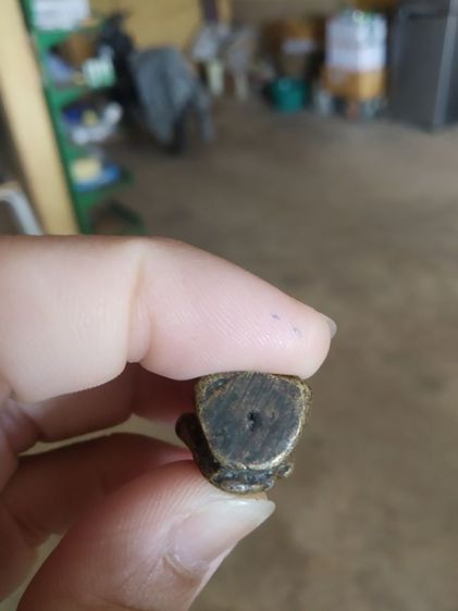 พระเนื้อทองเหลือง(พระรูปหล่อพระอุปคุตถือดอกบัวหลังยันต์พิมพ์ตั๊กแตน(ไม่ทราบเกจิที่สร้าง)(020306))พระบ้านพระเครื่องรางของมงคล รูปที่ 16