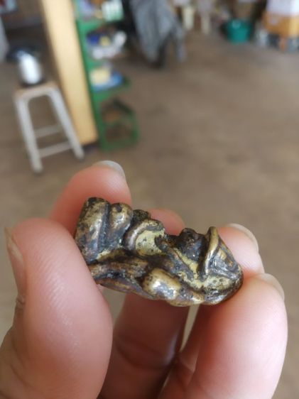 พระเนื้อทองเหลือง(พระรูปหล่อพระอุปคุตถือดอกบัวหลังยันต์พิมพ์ตั๊กแตน(ไม่ทราบเกจิที่สร้าง)(020306))พระบ้านพระเครื่องรางของมงคล รูปที่ 9