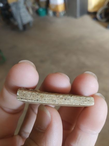 พระเนื้อดินผสมผง(พระพุทธชินราชหลังเรียบไม่ทราบเกจิที่สร้าง(030308))พระบ้านพระเครื่องรางของมงคล รูปที่ 13