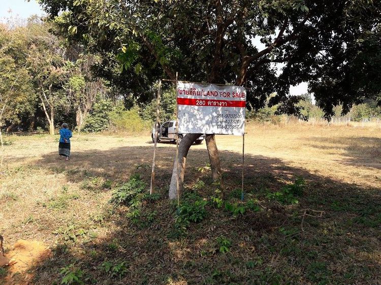 ต้องการขายที่ดิน ติดถนนบายพาสสายฉ.นครราชสีมา รูปที่ 4