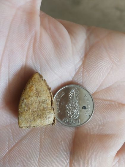 พระเนื้อผงพิมพ์เล็ก(พระพิมพ์พระพุทธโคดมวัดสระพัง(พระหลวงพ่อฤาษีลิงดำปลุกเสก)(จังหวัดนครปฐมปี2531))พระบ้านพระเครื่องรางของมงคล รูปที่ 5