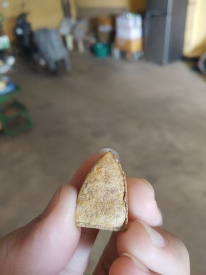 พระเนื้อผงพิมพ์เล็ก(พระพิมพ์พระพุทธโคดมวัดสระพัง(พระหลวงพ่อฤาษีลิงดำปลุกเสก)(จังหวัดนครปฐมปี2531))พระบ้านพระเครื่องรางของมงคล รูปที่ 10