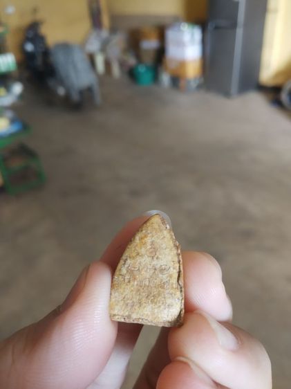 พระเนื้อผงพิมพ์เล็ก(พระพิมพ์พระพุทธโคดมวัดสระพัง(พระหลวงพ่อฤาษีลิงดำปลุกเสก)(จังหวัดนครปฐมปี2531))พระบ้านพระเครื่องรางของมงคล รูปที่ 11