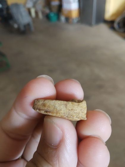 พระเนื้อผงพิมพ์เล็ก(พระพิมพ์พระพุทธโคดมวัดสระพัง(พระหลวงพ่อฤาษีลิงดำปลุกเสก)(จังหวัดนครปฐมปี2531))พระบ้านพระเครื่องรางของมงคล รูปที่ 17