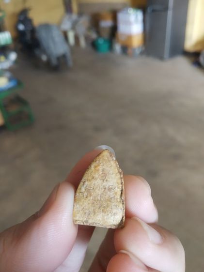 พระเนื้อผงพิมพ์เล็ก(พระพิมพ์พระพุทธโคดมวัดสระพัง(พระหลวงพ่อฤาษีลิงดำปลุกเสก)(จังหวัดนครปฐมปี2531))พระบ้านพระเครื่องรางของมงคล รูปที่ 12