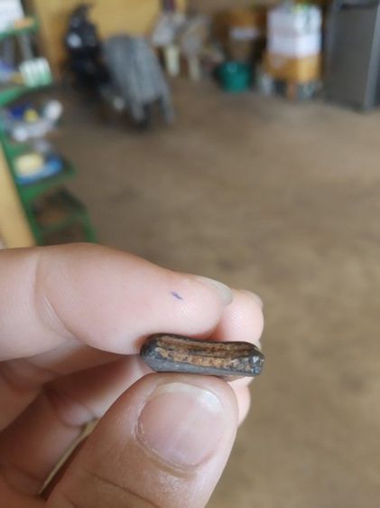 พระเนื้อดินผสมผงใบลาน(พระพิมพ์พระผงสุพรรณหลังเรียบ(ไม่ทราบพระเกจิที่สร้าง)(ไม่ทราบที่มา)(เนื้อออกสีดำ)(050301))พระบ้านพระเครื่องรางของมงคล รูปที่ 18