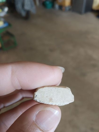 พระเนื้อผงผสมว่าน(พระหลวงปู่ทวดวัดห้วยแม่ค้า(จังหวัดแพร่))พระบ้านพระเครื่องรางของมงคล รูปที่ 16