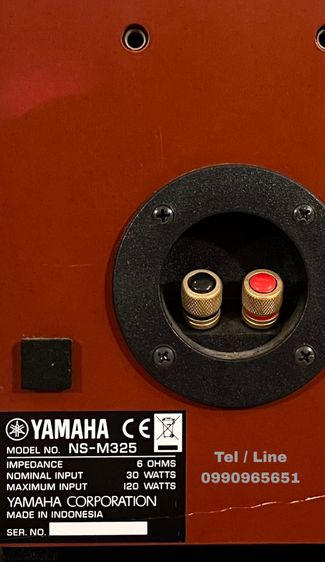 Yamaha NS-325 5.0 รูปที่ 18