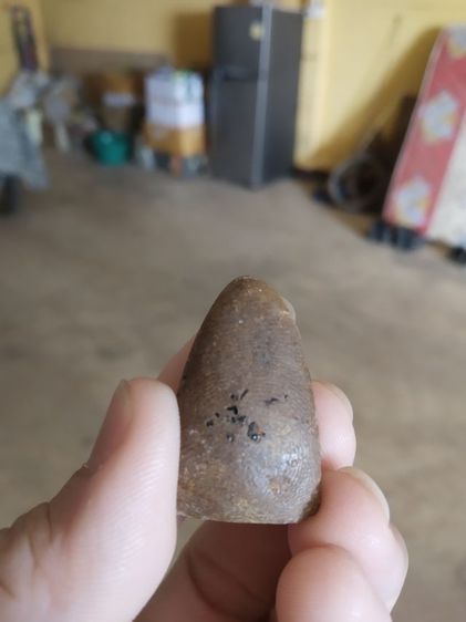 พระเนื้อดินผสมว่าน(พระพิมพ์พระรูปเหมือนพระหลวงปู่ทวดหลังเรียบ(เนื้อออกสีน้ำตาลเข้ม)(ไม่ทราบเกจิที่สร้าง)(070304))พระบ้านพระเครื่องรางของมงคล รูปที่ 9