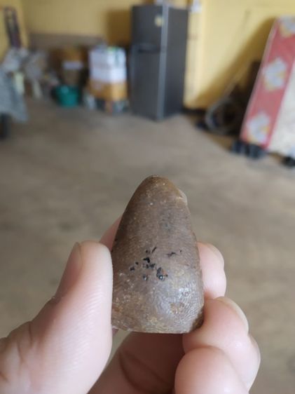 พระเนื้อดินผสมว่าน(พระพิมพ์พระรูปเหมือนพระหลวงปู่ทวดหลังเรียบ(เนื้อออกสีน้ำตาลเข้ม)(ไม่ทราบเกจิที่สร้าง)(070304))พระบ้านพระเครื่องรางของมงคล รูปที่ 5