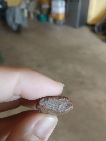 พระเนื้อดินผสมผง(พระพิมพ์พระรูปเหมือนพระหลวงปู่ทวดหลังเรียบ(เนื้อออกสีส้มเข้ม)(ไม่ทราบเกจิที่สร้าง)(070305))พระบ้านพระเครื่องรางของมงคล รูปที่ 17