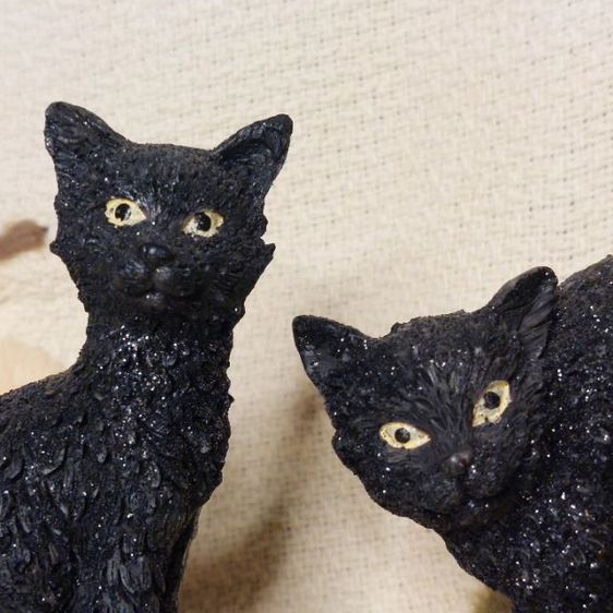 น้องแมวคู่สีดำ งานสวย มีความระยิบระยับ สภาพสมบูรณ์ครับ 🐈‍⬛️ รูปที่ 2