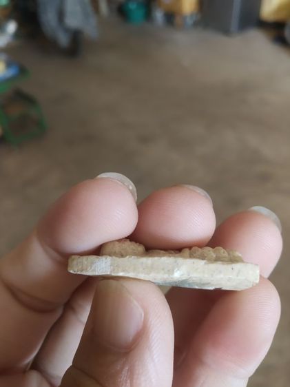 พระเนื้อว่านผสมผง(พระหลวงปู่ทวดหลังยันต์(ฝังตะกรุดเงินโรยผงตะไบ)พระหลวงพ่อเขียว(วัดระเว)(จังหวัดโคราชปี2538))พระเครื่องรางของมงคลพระบ้าน รูปที่ 16