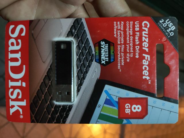 flash drive sandisk 8 GB