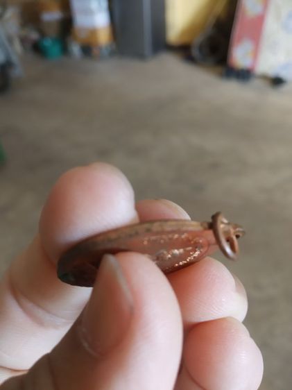 พระเหรียญเนื้อทองแดง(พระราชมัตโนบล(พิมพ์นารโท)หลังพระเจ้าใหญ่ศรีเมืองวัดทุ่งศรีเมือง(ฉลองอายุครบ80ปี)(จังหวัดอุบลราชธานีปี2538))พระบ้าน รูปที่ 11