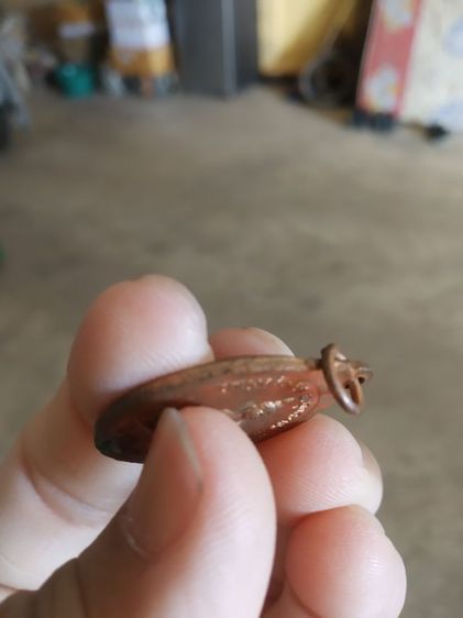 พระเหรียญเนื้อทองแดง(พระราชมัตโนบล(พิมพ์นารโท)หลังพระเจ้าใหญ่ศรีเมืองวัดทุ่งศรีเมือง(ฉลองอายุครบ80ปี)(จังหวัดอุบลราชธานีปี2538))พระบ้าน รูปที่ 12