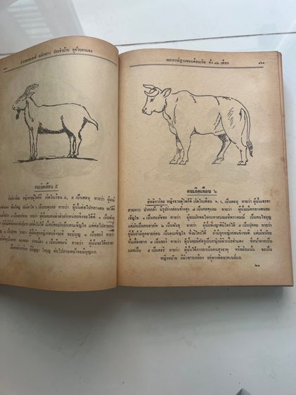 หนังสือตำราพรหมชาติยุคพระนครเก่า รูปที่ 12