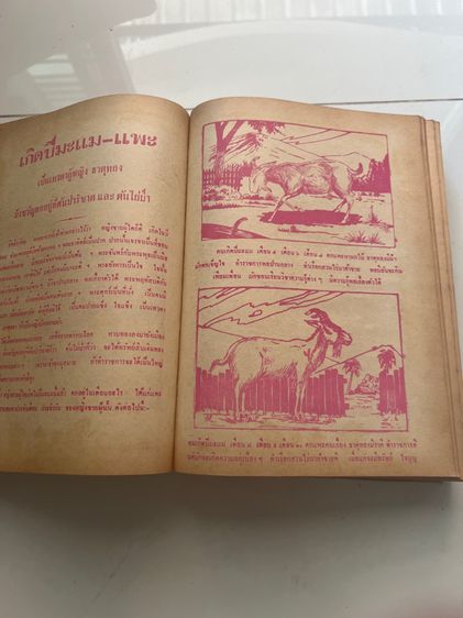 หนังสือตำราพรหมชาติยุคพระนครเก่า รูปที่ 8