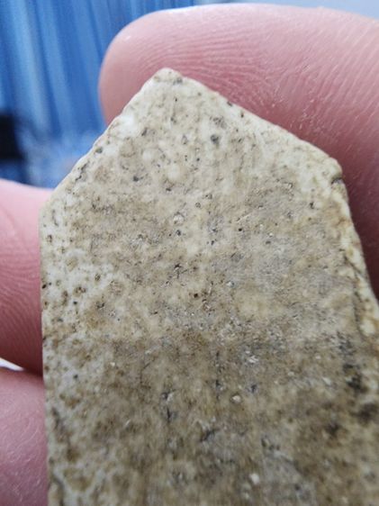 พระเก่าเก็บ เดิมๆ รุ่นเก่า หายาก สร้างน้อย พร้อมปิดให้เลยครับพี่ๆ  รูปที่ 5