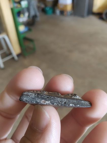 พระเนื้อดินผสมผงใบลาน(พระพิมพ์พระนางพญาฐานสูงพระหลวงพ่อทาบ(เนื้อดินเผา)วัดกระบกขึ้นผึ้ง(จังหวัดระยองปี2505))พระบ้านถ้าเครื่องรางของมงคล รูปที่ 17