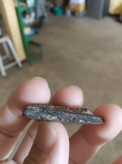 พระเนื้อดินผสมผงใบลาน(พระพิมพ์พระนางพญาฐานสูงพระหลวงพ่อทาบ(เนื้อดินเผา)วัดกระบกขึ้นผึ้ง(จังหวัดระยองปี2505))พระบ้านถ้าเครื่องรางของมงคล รูปที่ 14