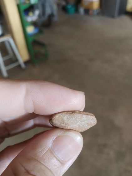 พระเนื้อดิน(พระพิมพ์พระนางพญาหลังเรียบ(ไม่ทราบเกจิที่สร้าง110304))พระบ้านพระเครื่องรางของมงคล รูปที่ 15