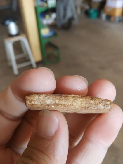 พระเนื้อผงผสมว่าน(พระสมเด็จหลังเรียบเนื้อออกสีเหลืองเข้ม(ไม่ทราบเกจิที่สร้าง)(110352)(ไม่ทราบรุ่นและอายุ))พระบ้านพระเครื่องรางของมงคล รูปที่ 16