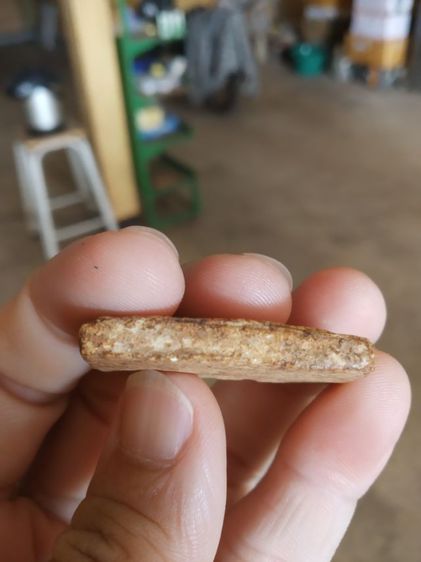 พระเนื้อผงผสมว่าน(พระสมเด็จหลังเรียบเนื้อออกสีเหลืองเข้ม(ไม่ทราบเกจิที่สร้าง)(110352)(ไม่ทราบรุ่นและอายุ))พระบ้านพระเครื่องรางของมงคล รูปที่ 13