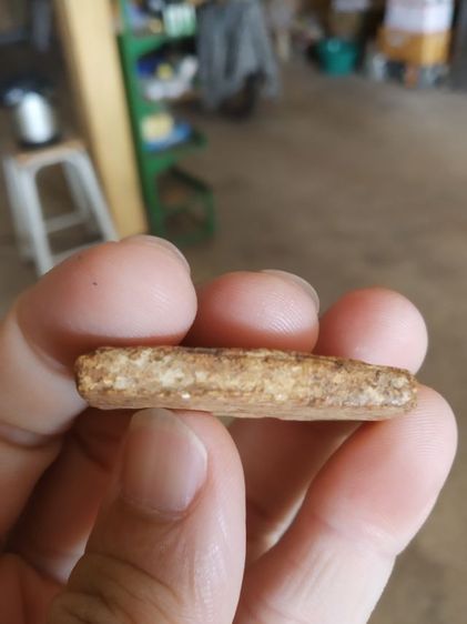 พระเนื้อผงผสมว่าน(พระสมเด็จหลังเรียบเนื้อออกสีเหลืองเข้ม(ไม่ทราบเกจิที่สร้าง)(110352)(ไม่ทราบรุ่นและอายุ))พระบ้านพระเครื่องรางของมงคล รูปที่ 11