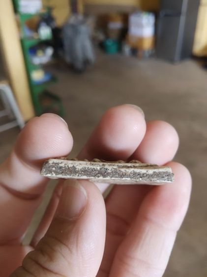 พระเนื้อผงผสมว่าน(พระพิมพ์พระสมเด็จหลังอักษรจีน(ไม่ทราบที่มาไม่ทราบพระเกจิที่สร้าง)(ไม่ทราบอายุและรุ่น))พระบ้านพระเครื่องรางของมงคล รูปที่ 14