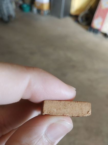 พระเนื้อผงผสมว่าน(พระผงพระหลวงพ่อทองสูง(รุ่นที่หนึ่ง)(วัดไตรภูมิ)(จังหวัดมุกดาหาร))พระบ้านพระเครื่องรางของมงคล รูปที่ 14