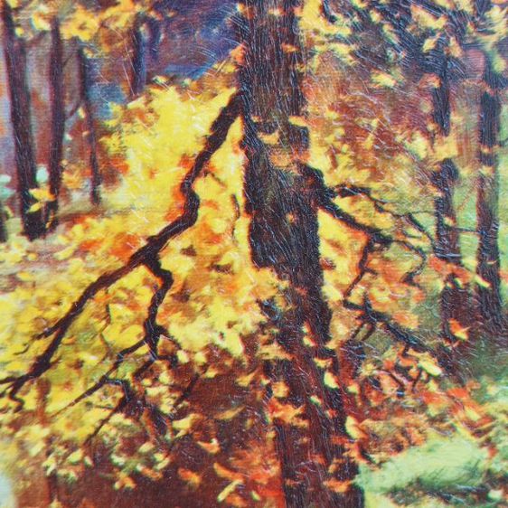 ภาพพิมพ์ ป่าในยุโรป ในช่วงฤดูใบไม้ร่วง  สวย ภาพให้สีโทนส้มเหลือง เป็นสัญญาณของการมาเยือนของช่วง ฤดูหนาว องค์ประกอบภาพดีมากครับ 🍂🍁
 รูปที่ 6